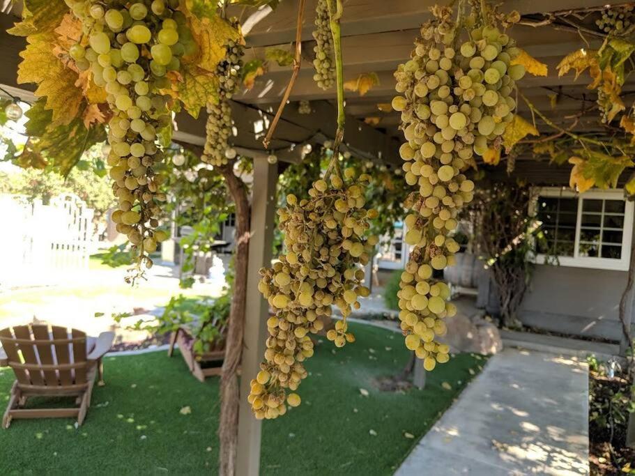 The Vineyard Farmhouse Villa Paso Robles Kültér fotó