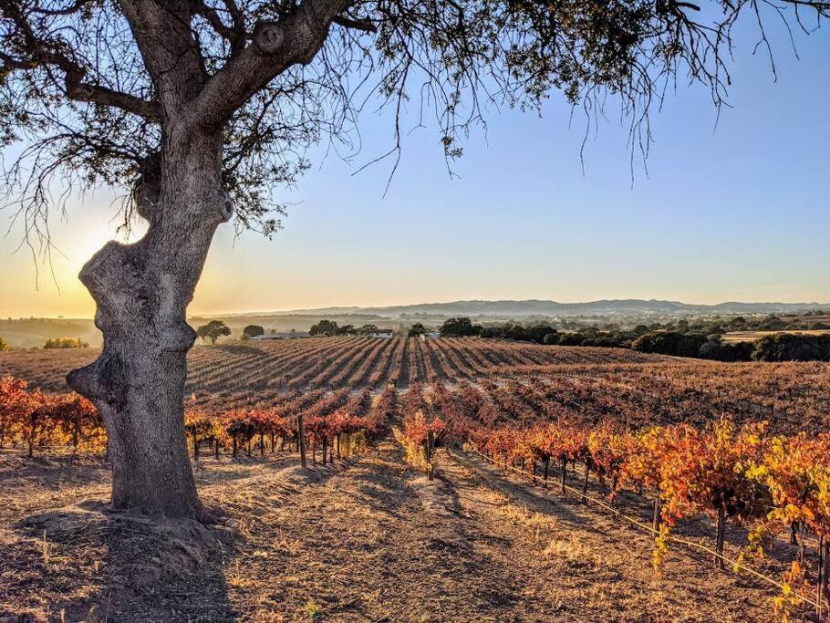 The Vineyard Farmhouse Villa Paso Robles Kültér fotó