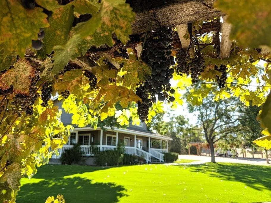 The Vineyard Farmhouse Villa Paso Robles Kültér fotó